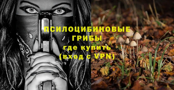 спиды Лиски