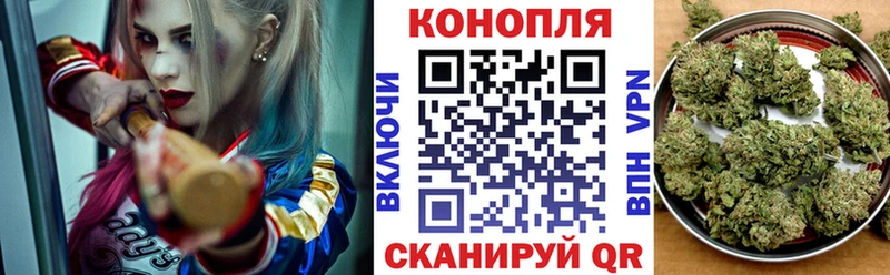 хочу Абдулино Бошки Шишки гибрид
